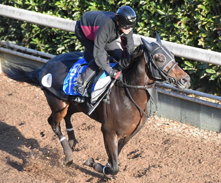 　鋭いフットワークで駆け上がったロードデルレイ（撮影・石井剣太郎）