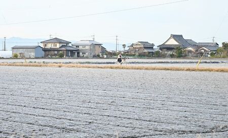 真っ白い霜に覆われた田畑＝20日午前8時10分、佐賀市東与賀町