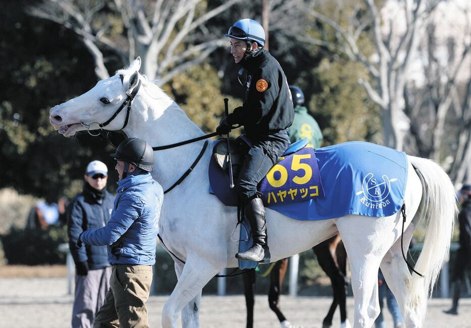 ハヤヤッコと吉田豊騎手