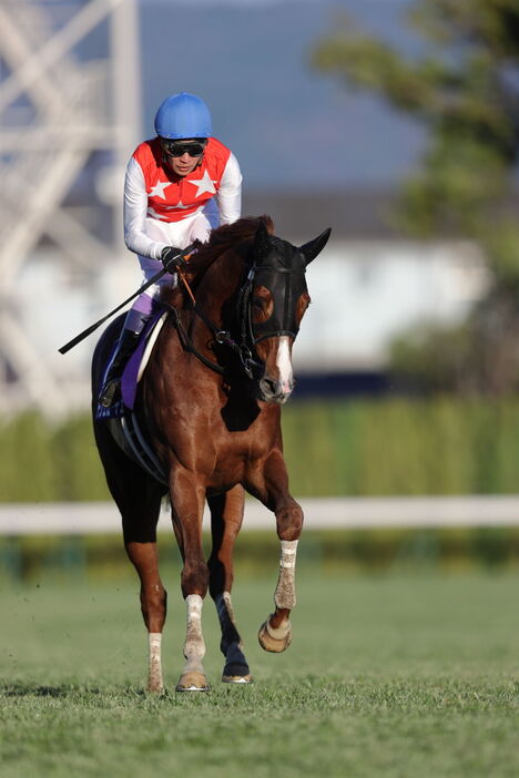 朝日杯FS・アルテヴェローチェと武豊騎手