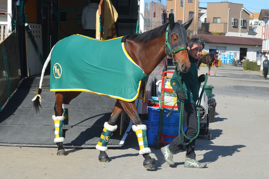 中山競馬場に到着したベラジオオペラ