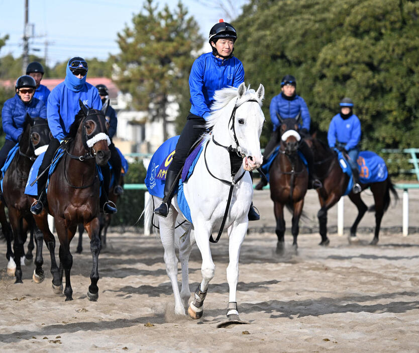 11日、乗り運動するハヤヤッコ