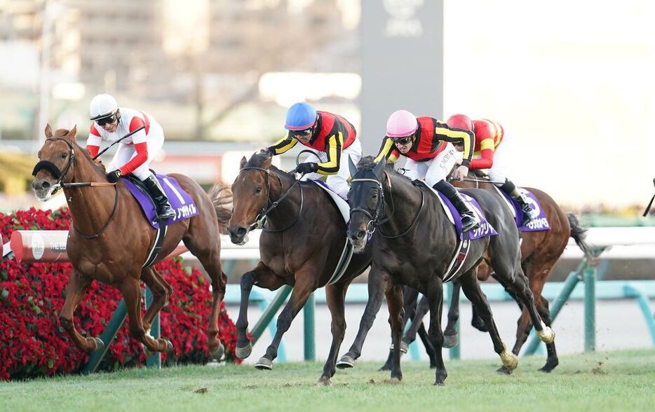 有馬記念を制したレガレイラ（青帽）＝中山競馬場（撮影・岩川晋也）