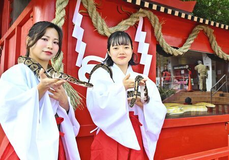 正月を前に建立された、１２年に１度の白へび神社＝２６日、南城市玉城・おきなわワールド（金城拓撮影）