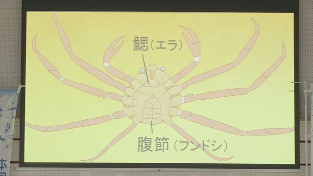 日本海テレビ