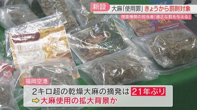 見つかった大麻（11日）