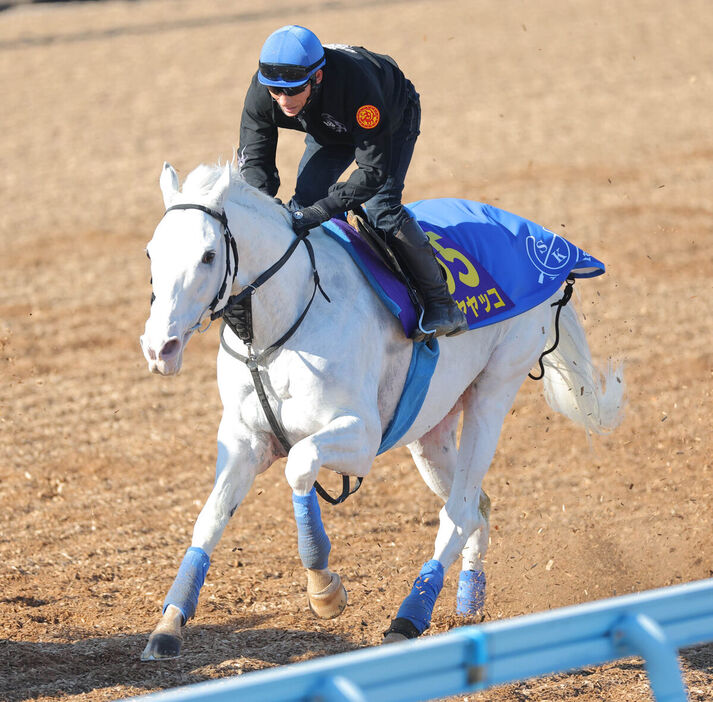 吉田豊騎手を背に追い切られたハヤヤッコ（カメラ・安藤　篤志）