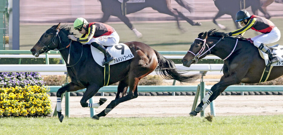 デビュー戦を勝利で飾ったアルメントフーベル（左）（カメラ・荒牧　徹）