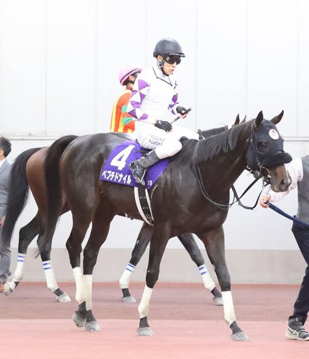 5着のペプチドナイル＝中京競馬場（撮影・安部光翁）