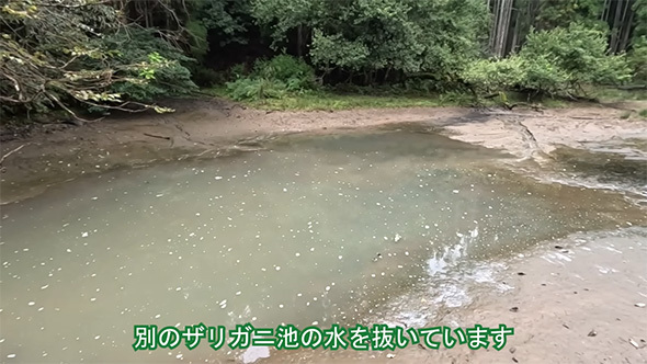 こちらの池の水を抜いていきます