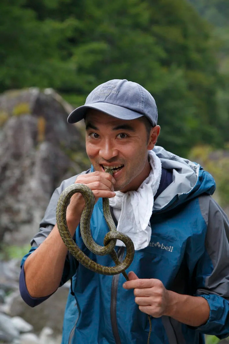 サバイバル登山ではカエルやヘビも重要な食料になる。アオダイショウはシマヘビやマムシに比べると味が少し落ちる。