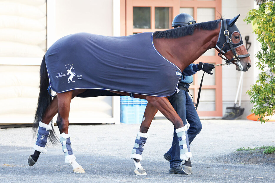 ２歳馬としては上々の時計を叩き出しているエリカアンディーヴ