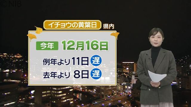 NIB長崎国際テレビ