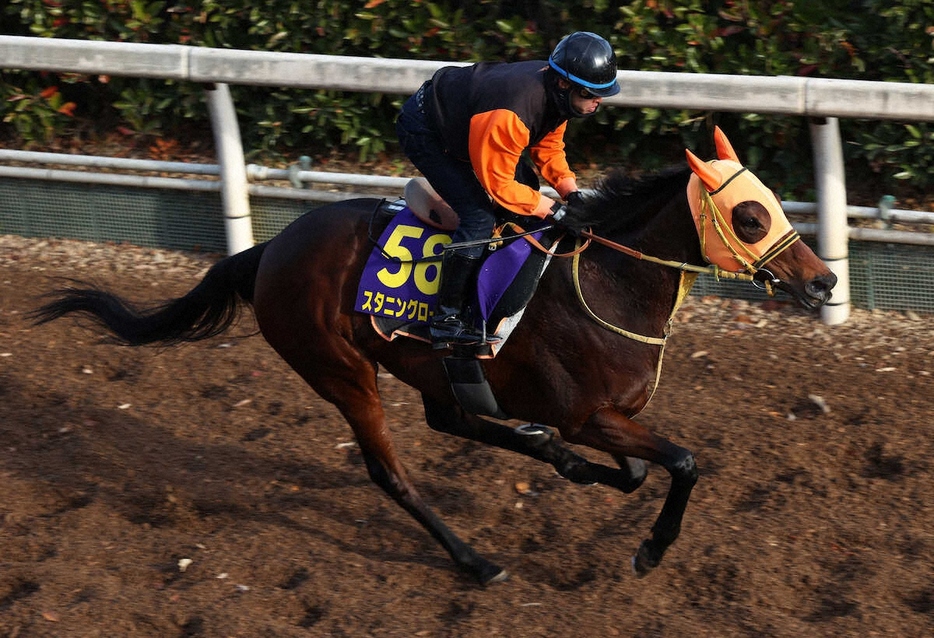 ＜有馬記念＞坂路で追い切るスタニングローズ（撮影・亀井　直樹）