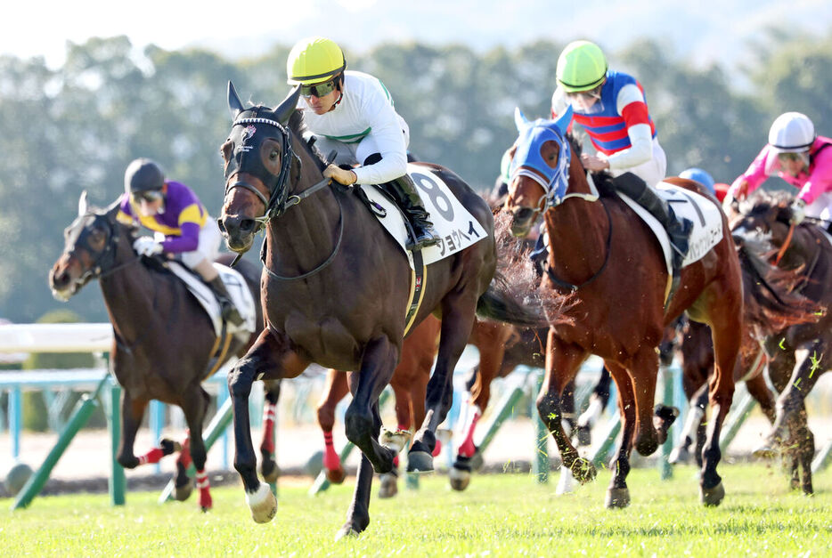 田将雅騎手騎乗のショウヘイ（左から２頭目）が直線で抜け出しＶ（カメラ・高橋　由二）