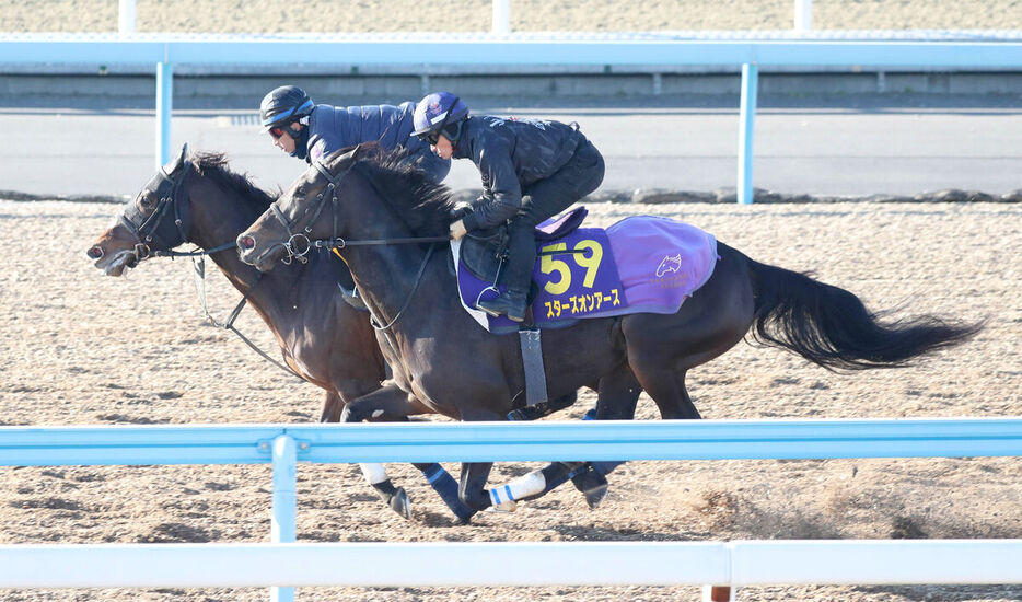 Ｗコースで追い切ったスターズオンアース（右、カメラ・荒牧　徹）