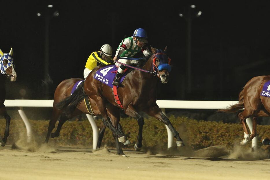 ゴールドカップを制したアウストロ＝浦和競馬場（撮影・大貫師男）