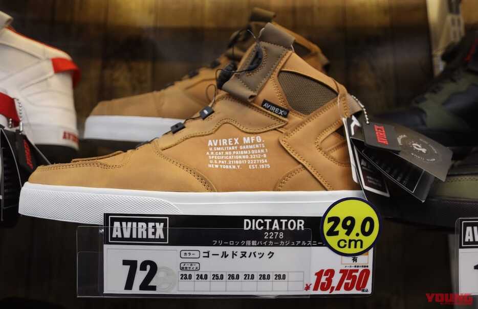 AVIREX AV2278 DICTATOR MC