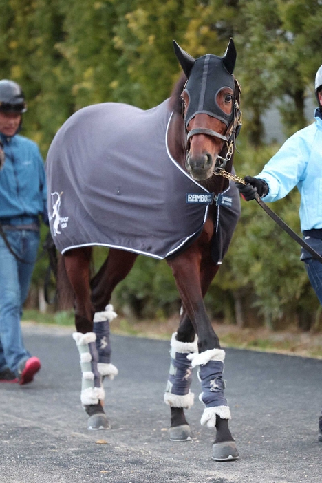 引き運動で調整されたブローザホーン