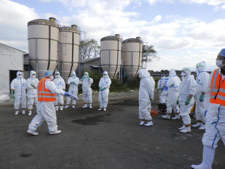 鳥インフルエンザが発生した養鶏場で防疫作業に当たる県職員ら＝10日午前、西条市（県提供）