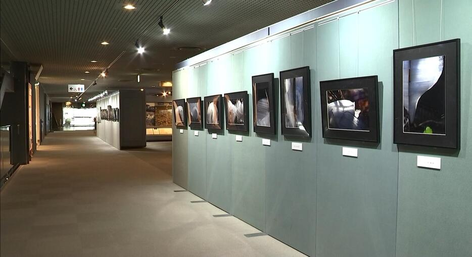 シモバシラの姿を収めた写真展