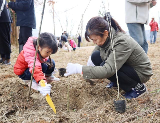 恋人の丘近くの遊歩道脇に韓国の国花「ムクゲ」の苗を植樹する参加者