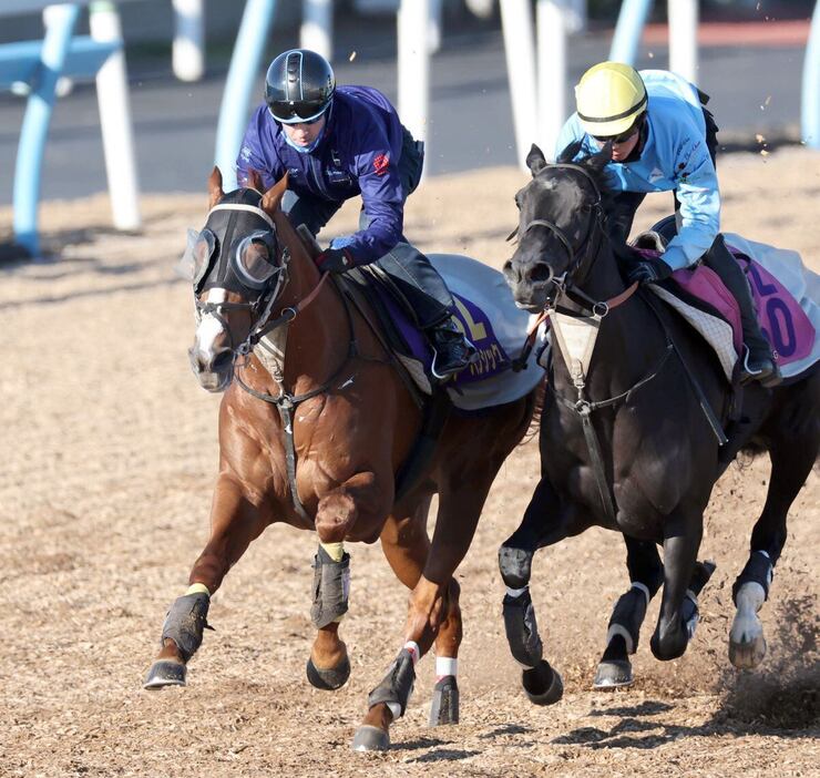 菊花賞馬アーバンシック（左）は力強い走りを披露。体調の良さをアピールした（撮影・塩浦孝明）