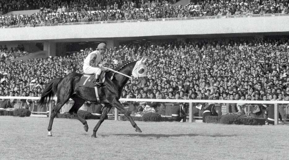 引退式に臨むハイセイコー＝昭和50年1月、東京競馬場