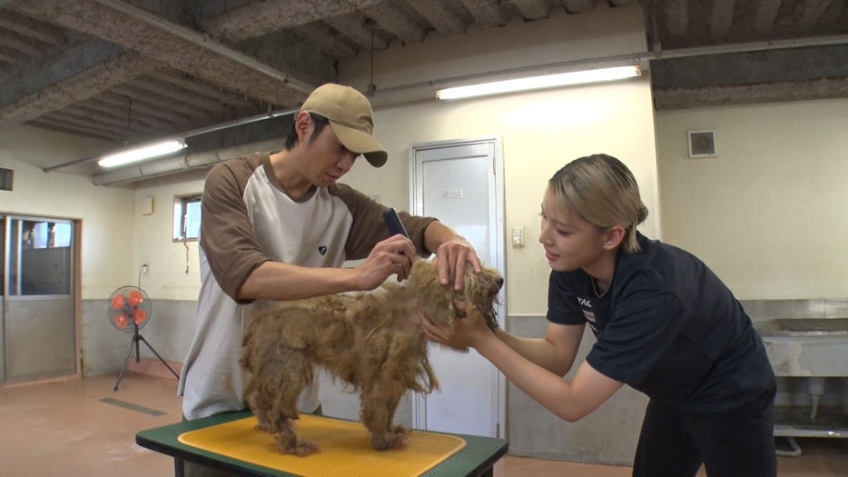 21日放送『嗚呼!! みんなの動物園』より（C）日本テレビ