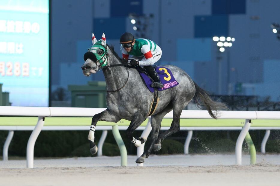 東京シンデレラマイルを制したフェブランシェ＝大井競馬場（撮影・大貫師男）