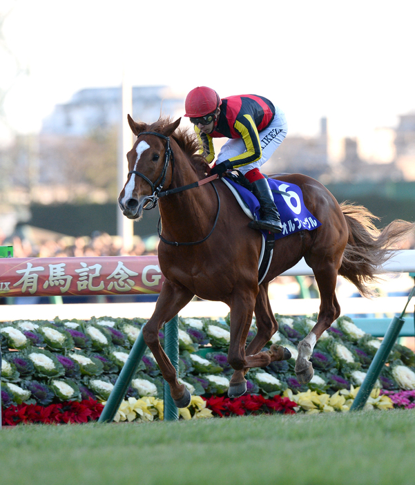 第58回有馬記念 池添謙一騎手騎乗のオルフェーヴルが優勝　（c）SANKEI