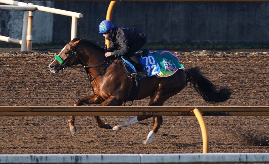 馬なりで軽快な走りを見せたシャドウフューリー＝栗東トレセン（撮影・岩川晋也）