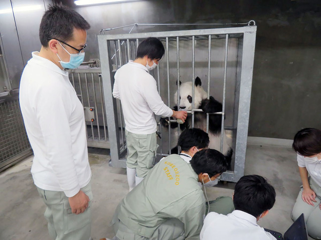 「ねぇ、ちょっと人が多くない？」　　神戸市立王子動物園ツイッターより