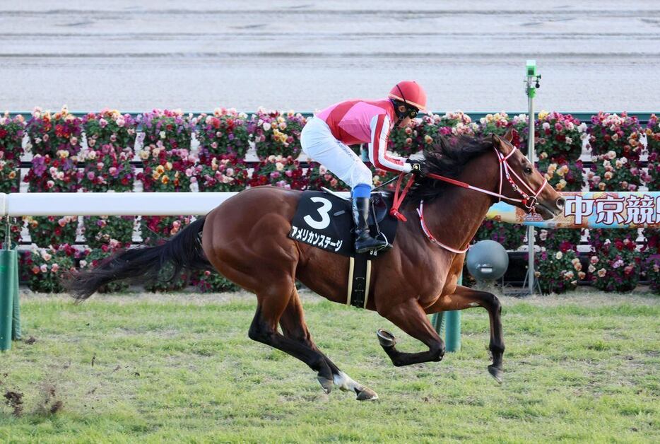 初の芝コースも難なくこなし、未勝利から3連勝のアメリカンステージ＝中京競馬場（撮影・中島信生）