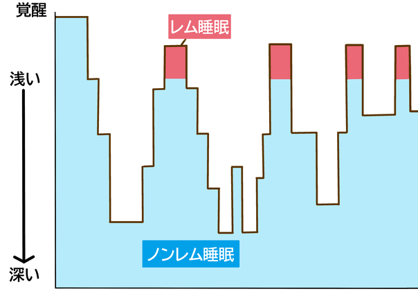 引用元：美ST