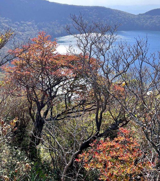 霧島連山の秋を彩る紅葉＝１１月６日、大浪池火口縁