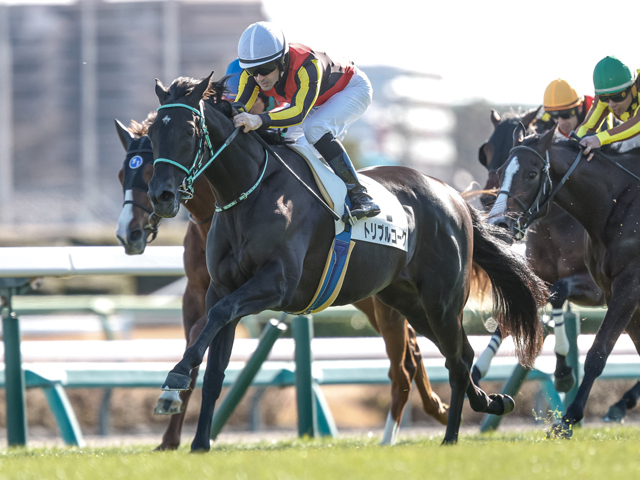 中山5R新馬戦を制したトリプルコーク(撮影：下野雄規)