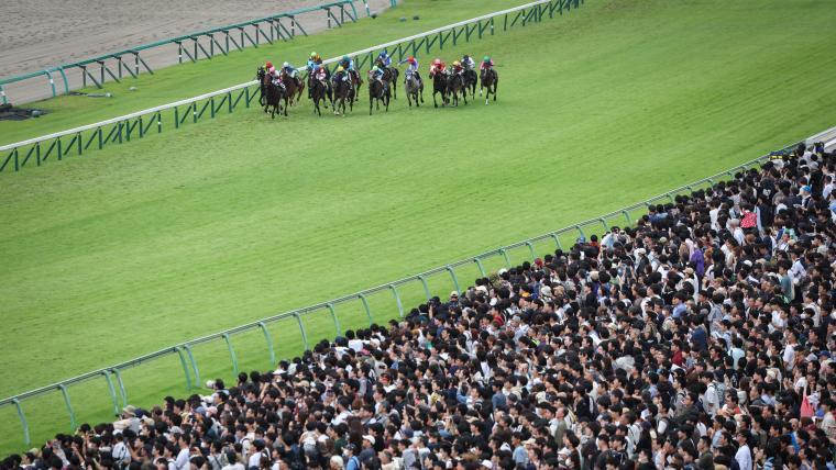 12月28日に開催される中央競馬の2歳中距離王決定戦、第41回ホープフルステークス（G1）