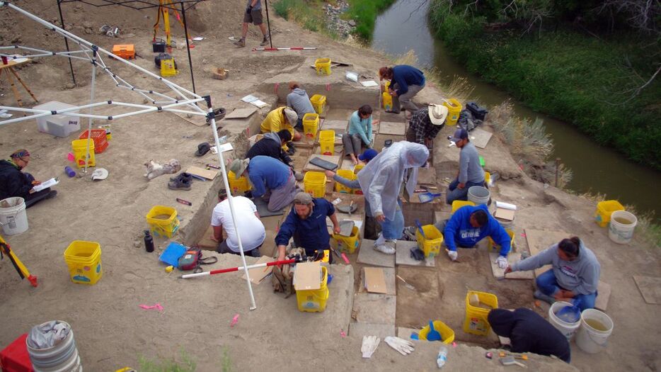 ラ・プレール遺跡の一部が発掘され２０１６年にアカギツネとヤマネコの骨で作られた針が発見された