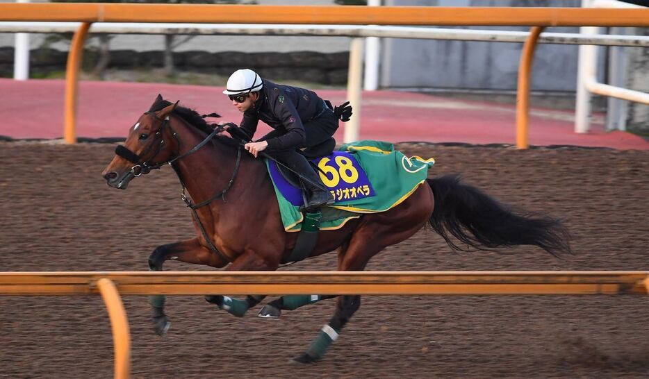 有馬記念に出走予定のベラジオオペラ