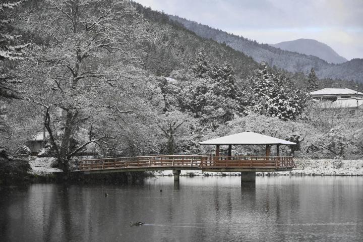 雪化粧した笛ケ滝公園の馬頭池＝19日午前8時15分ごろ、久万高原町上野尻（撮影・樋口和至）