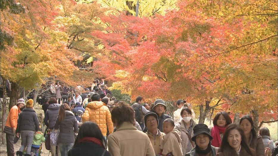 香嵐渓(こうらんけい) 愛知県豊田市