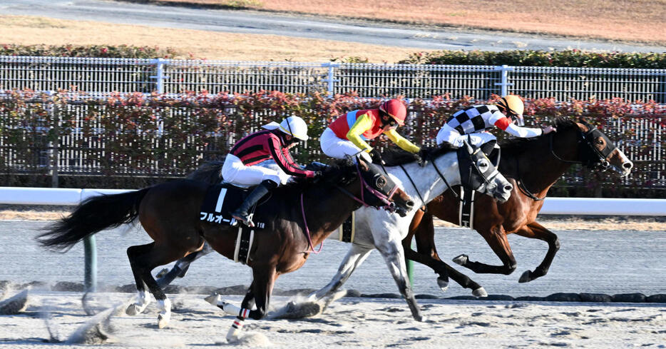 尾頭橋Sを制したフタイテンロック（奥）（撮影・前岡正明）