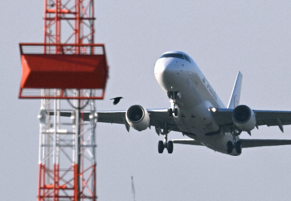 頻繁に飛行機が発着する福岡空港では、年間40件前後のバードストライクが発生する＝福岡市博多区で2023年11月8日午後4時2分、徳野仁子撮影