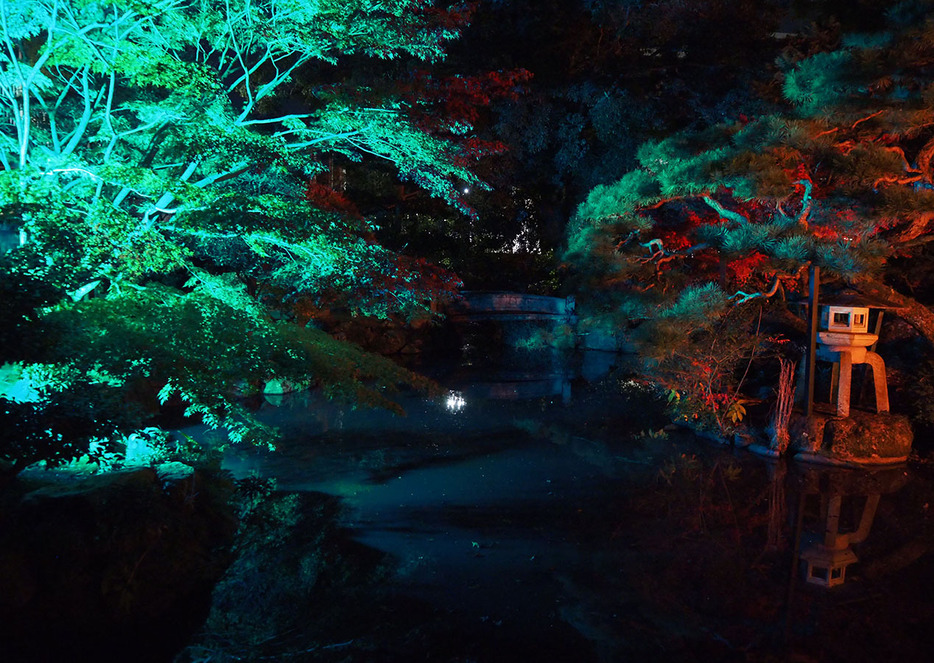 幻想的な雰囲気となった回遊式庭園＝魚町の旧長谷川家で