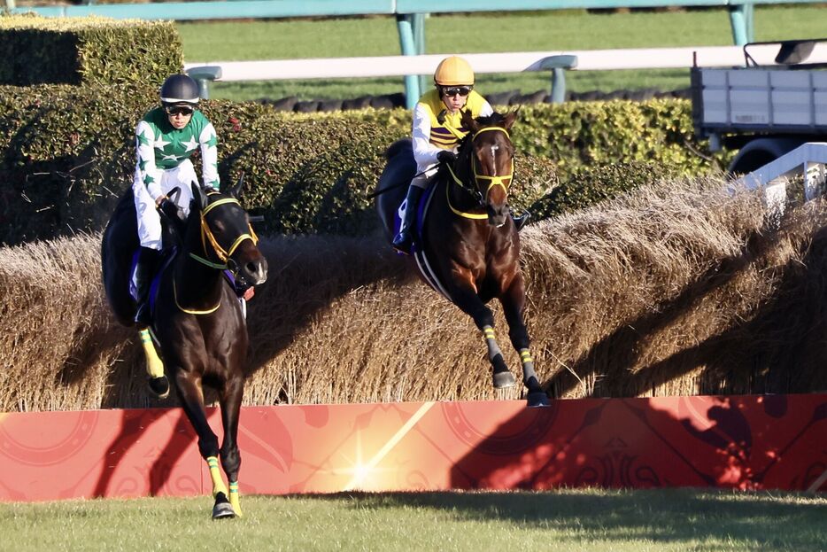 （右）2023中山大障害・ニシノデイジーと五十嵐雄祐騎手