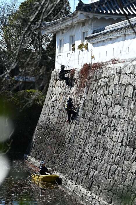 ボートから石垣によじ登って除草作業を行う忍者姿の作業員＝滋賀県甲賀市