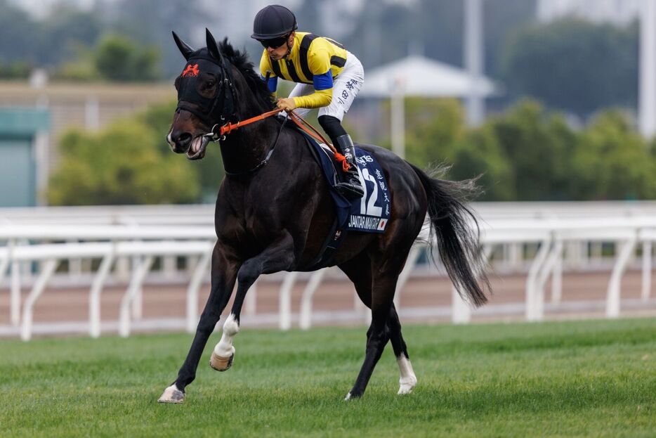 香港マイル・ジャンタルマンタルと川田将雅騎手 (C)Shinji Honjo