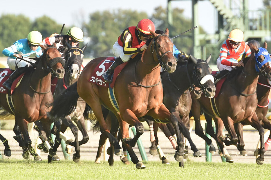 １１か月ぶりとは思えない走りを見せた府中牝馬Ｓでのブレイディヴェーグ