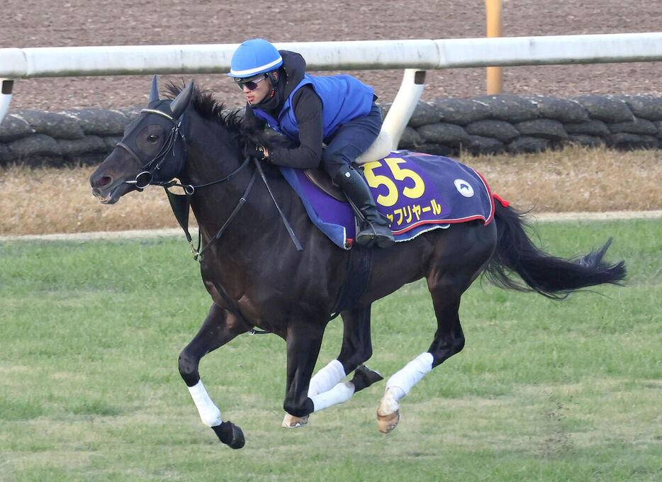 芝コースを単走で追い切るシャフリヤール